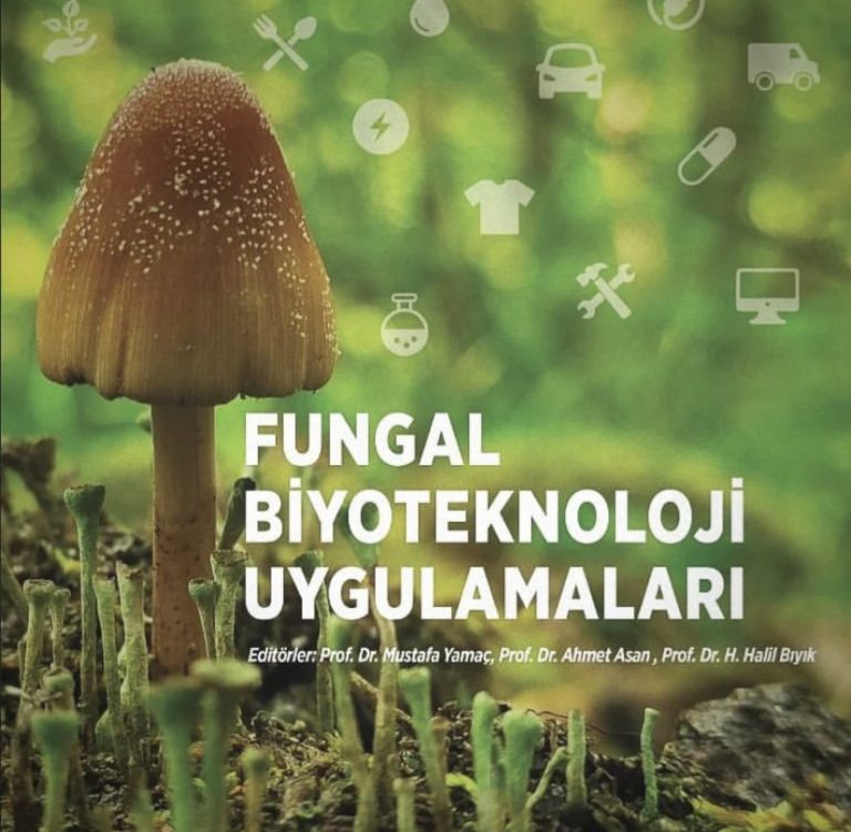 fungus